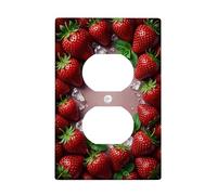 Strawberries Kitchen Duplex Outlet Covers Wall Plate, Summer Fresh Mint Leaves Ice Cubes Summer Red Plastic Standard Size Decorative Receptacle Outlet Covers for Home Living Room New Apartment Decor