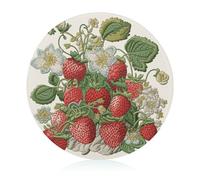 Strawberry Embroidery Cutting Board for Kitchen Mini Cheese Chopping Board Round Tempered Glass Chopping Block for Picnic Cutting Pizza Meat Fruit(7.9 Inch)
