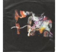 Strawberry Fields Forever / Can You Feel the Love [7" Vinyl]