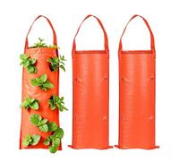 Strawberry Grow Bags | 10 Holes Upside Down Floating Greenhouse Fabric | Planters for Strawberries for Outdoor Indoor Garden Gardening Patio Balcony Outside Greenhouse