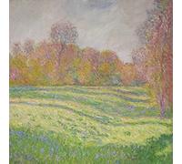 Strawberry Guy - Sun Outside My Window [VINYL]