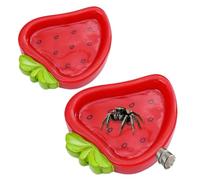 Strawberry Jumping Spider Enclosure Accessories 2 Pcs Jumping Spider Enclosure Ledges for Spiders Climbing Feeding Resting Exploration