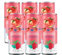 Strawberry & Mint Flavour Soft Drink 250ml - Refreshing Probiotic Tea Beverage -Lpt (6 x Cans)