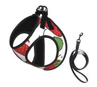 Strawberry Pattern Print Pet Leash Vest Reflective Adjustable Soft Mesh Vest Breathable For Daily Walks