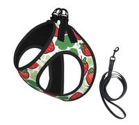 Strawberry Pattern Print Small Dog Harness with Leash Set, No Escape Easy Walk Puppy Harnesses for Training Walking