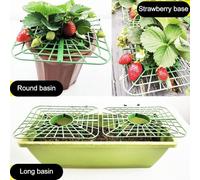 Strawberry Plant Support Sturdy 4-Foot Square Tray for Elevating Fruit at 45° Angle, Heavy-Duty Plastic Garden Stake for Strawberries, Tomato(5pcs)