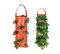 Strawberry Planter Bags, Hanging Strawberry Grow Bags, Strawberry Grow Bag with 8 Holes for Garden Strawberries, Herbs, Flowers 2pcs