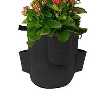 Strawberry Planter Grow Bag: 5 Gallon Breathable Fabric Grow Bag with Handles, Durable Felt Gardening Container | Strawberries, , Flowers And Vegetables, Pot