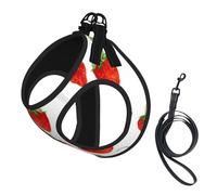 Strawberry Plants Fruit White Print,Pet Harness,Adjustable Reflective Dog Harness,Pet Leash Vest,L