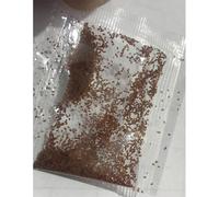 Strawberry Seeds 100Pcs Sweet Giant Indoor Outdoor