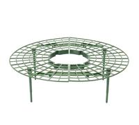 Strawberry Stand Frame Holder Balcony Potted Growing Vegetables Frames Fruit Support Pillar Vine Gardening Stents