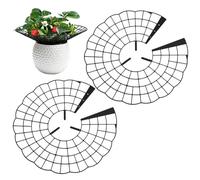 Strawberry Support: Practical Round Protection, Agricultural Plant Lifter, Elevation for Moisture Prevention | Robust Polymer Architecture, Patios Farmland Courtyards Courtyards Blueberries