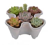 Strawberry Tower | Stackable Non-Slip with Optimised Drainage, Gardening Tower for Strawberries | for Garden, Terrace, Balcony, Lawn, Home, Apartment