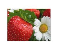 Strawberry White Flower，1000 Piece Jigsaw Puzzles for Adults Puzzle for Adults And Teenager Educational Game 1000 pcs（50x70cm）-T8