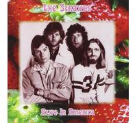 Strawbs - Alive in America