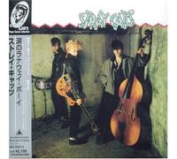 Stray Cats