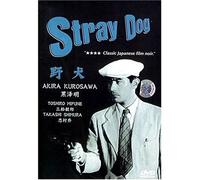 Stray dog (Chien enrage)