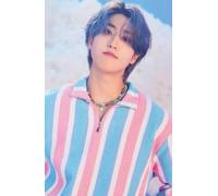 Stray kids Han Jisung Notebook