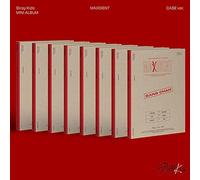 STRAY KIDS MAXIDENT Album ( CASE Ver.- I.N )+1ea Store Gift Card K-POP SEALED