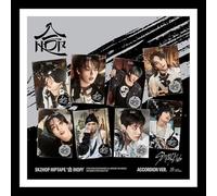 STRAY KIDS [SKZHOP HIPTAPE ‘合 (HOP)’] (ACCORDION Random Ver + Gift Card)