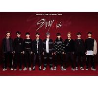 STRAY KIDS - STRAY KIDS [MIXTAPE] Debut Album CD+Photobook+2p Photocard+TRACKING NUMBER K-POP SEALED