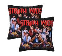 Stray Music Group Kids Pillowcase With Print, Soft All-Season Throw Pillow Cover For Home Decor And Fans Gift.