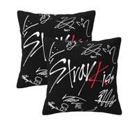 Stray Music Group Kids Pillowcase With Print, Soft All-Season Throw Pillow Cover For Home Decor And Fans Gift.
