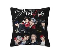 Stray Music Group Kids Pillowcase With Print, Soft All-Season Throw Pillow Cover For Home Decor And Fans Gift.