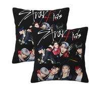 Stray Music Group Kids Pillowcase With Print, Soft All-Season Throw Pillow Cover For Home Decor And Fans Gift.