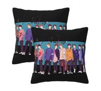 Stray Music Group Kids Pillowcase With Print, Soft All-Season Throw Pillow Cover For Home Decor And Fans Gift.