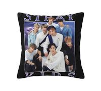 Stray Music Group Kids Pillowcase With Print, Soft All-Season Throw Pillow Cover For Home Decor And Fans Gift.