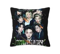 Stray Music Group Kids Pillowcase With Print, Soft All-Season Throw Pillow Cover For Home Decor And Fans Gift.