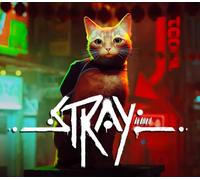 Stray PS5 Account