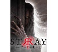 Stray Souls PC