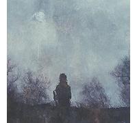 Stray Theories - All That Was Lost [VINYL]