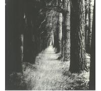 STRAY THEORIES - Falter - Vinyl (transparent red vinyl LP + MP3 download code)