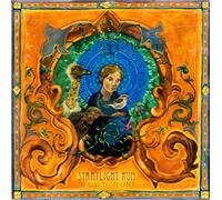 Straylight Run - The Needles the Space