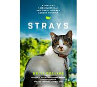 Strays: A Lost Cat, a Homeless Man, and Their Journey Across America