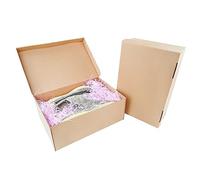 STRBOXONG Cardboard Shoe Boxes with Lid, 32x22x12 cm, Multi-Purpose Storage Box for Home Office Organization Containers, Foldable Cardboard Carton, Gift Parcel (5 Pieces)