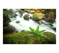 Stream Aquarium Background Rock River Green Grass Terrarium Background Waterfall Fish Tank Background Big Rocks Reptile Habitat Background Natural Stream Landscape Aquarium Backdrop Vinyl 24x12in