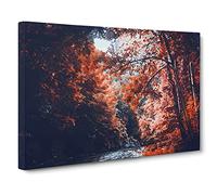 Stream Behind The Red Trees Canvas Print | Gallery Wrapped 30mm Frame Wall Art | 30x20 inches | Ready to Hang | Modern Landscape Picture | Living Room Bedroom Lounge Office