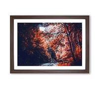 Stream Behind The Red Trees Framed Print | A2 Walnut Framed Wall Art | Ready to Hang | Modern Floral Picture | Living Room Bedroom Lounge Office