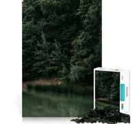 Stream Through The Woods 1000 Piece Jigsaw Puzzles for Adults Jigsaw Logic Toy Indoor Play Precision Cut Cherished Gift 38x52cm