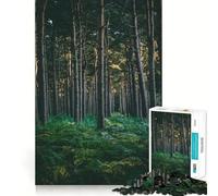 Stream Through The Woods 1000 Pieces Jigsaws Adults Puzzles Gifts Brain Workout Toy Relaxed Mind Art Assembly Memorable Gift 38x26cm