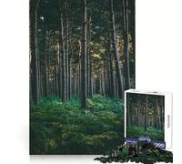 Stream Through The Woods 1000 Pieces Jigsaws Adults Puzzles Gifts Brain Workout Toy Relaxed Mind Art Assembly Memorable Gift 38x26cm