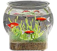 STREAMVOY Clear Round Fish Tank/Turtle Bowl - Desktop Aquarium for Small Spaces, Durable PET Material, Easy Clean, Modern Home Decor (medium size)