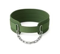 STRECHIT Green Dip Belt with 36 Inch Steel Chain for Pull Ups & Dips - Weighted Belt with Neoprene Padding & Heavy Duty Carabiners - Durable Weightlifting Belt for Strength Training & Fitness Workouts