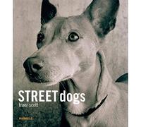 Street Dogs