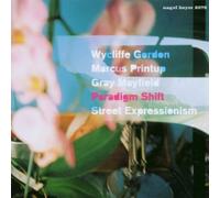 Street Expressionism by Paradigm Shift