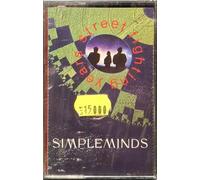 Street Fighting Years